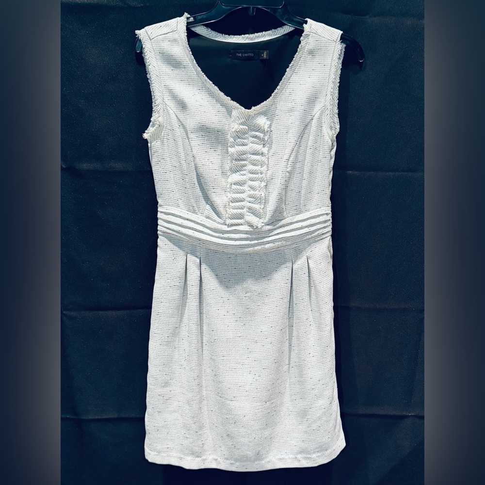 The Limited Ruffled Detail Sleeveless Women’s Dress. Size 4.